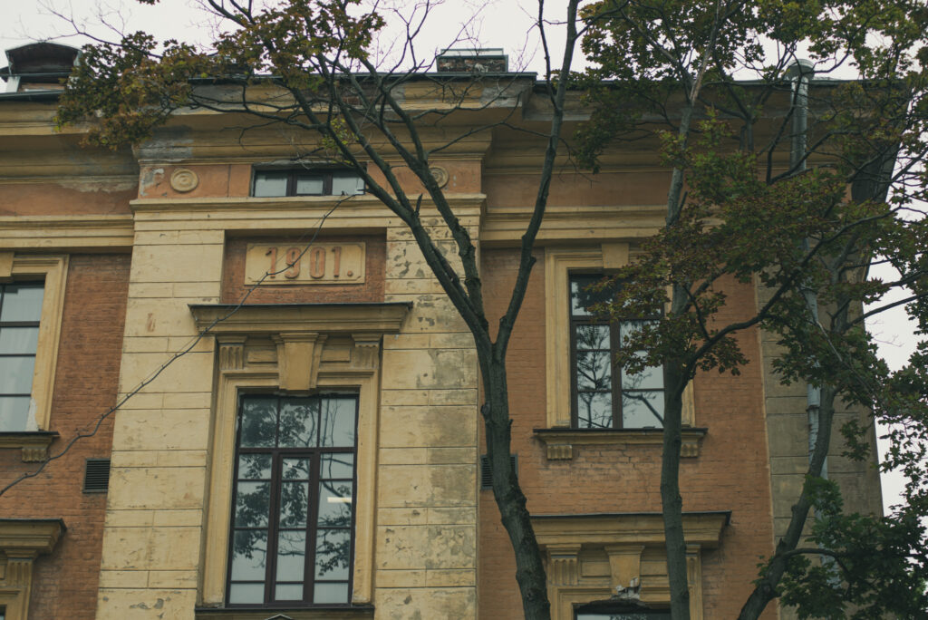 DSC 4063 питер обучение на ветеринара