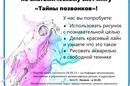 Мастер-класс по скетчингу “Тайны позвонков”