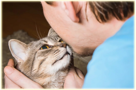 Доклады посвящённые физиологии дыхания