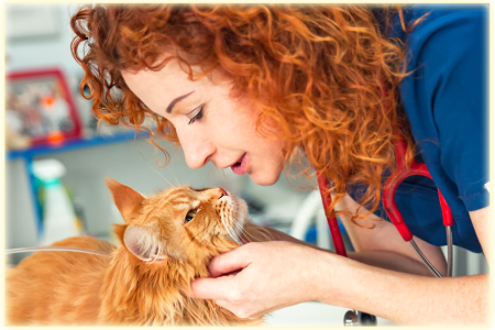 В новый год с новым проектом!