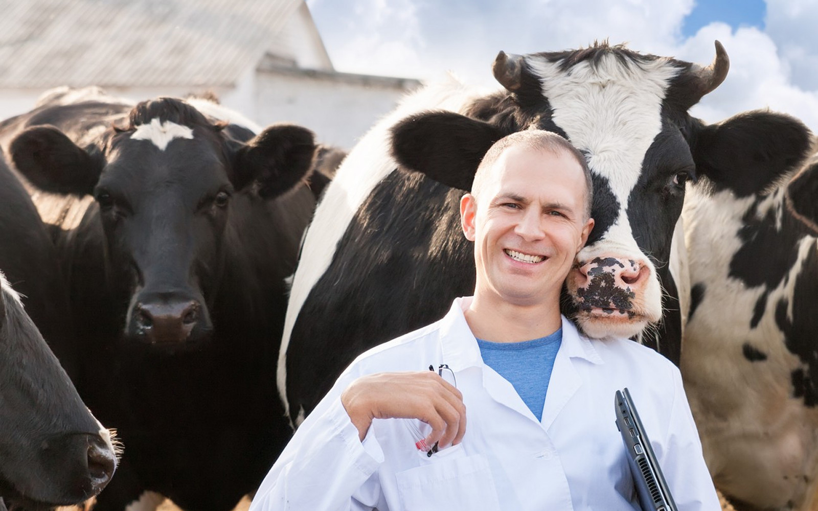 24 – 25 ноября 2022 г – Знания молодых для развития ветеринарной ...