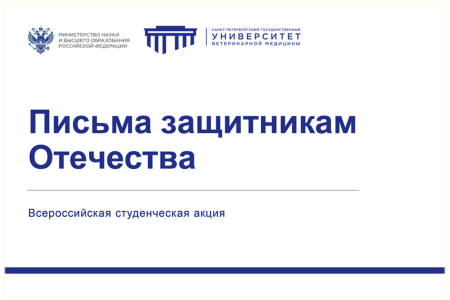 Письма защитникам Отечества
