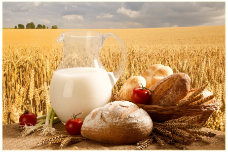 с Днём работника сельского хозяйства и перерабатывающей промышленности