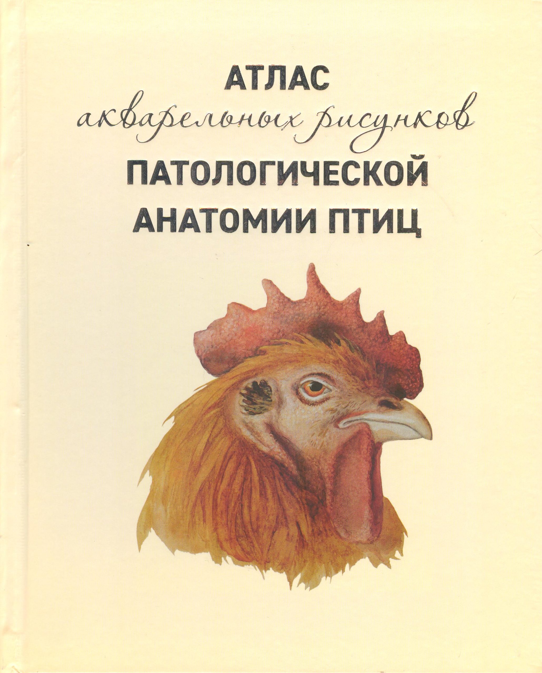 Презентация книги А. А. Кудряшова и В. И. Балабановой – САНКТ-ПЕТЕРБУРГСКИЙ  ГОСУДАРСТВЕННЫЙ УНИВЕРСИТЕТ ВЕТЕРИНАРНОЙ МЕДИЦИНЫ