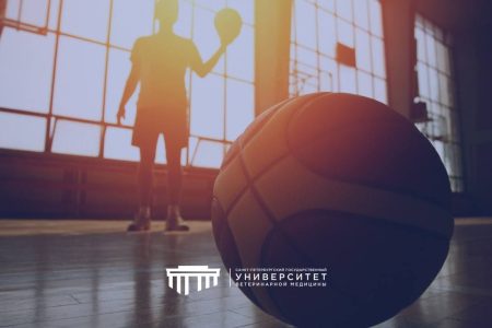 Состоялся STREETBALL FEST СПбГУВМ