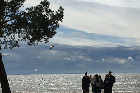 Студенты 1 курса факультета биоэкологии посетили “Комаровский берег”.