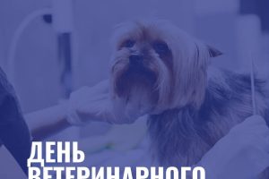 31 августа — День ветеринарного работника