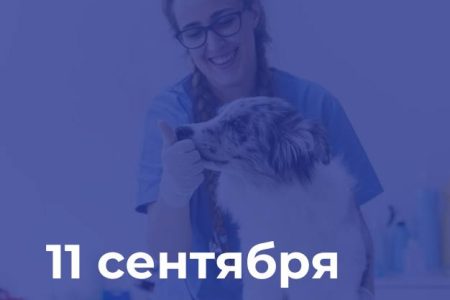 11 сентября открывает свои двери третий сезон проекта “Высшие Ветеринарные Классы”