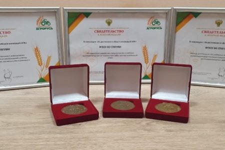 Состоялся отраслевой конкурс «Золотая медаль»