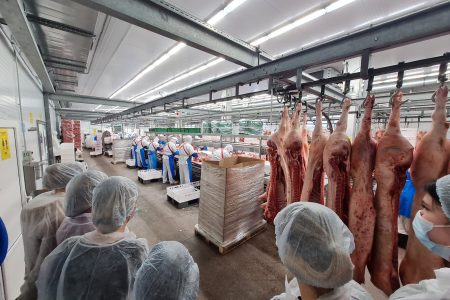 В течение декабря 2023 года обучающиеся факультета ветеринарно-санитарной экспертизы посетили Мясоперерабатывающий комбинат «Тосненский»