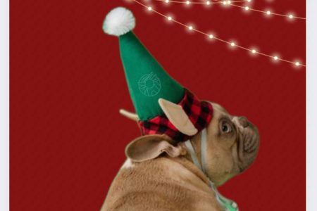 Новогодняя вечеринка в СПбГУВМ