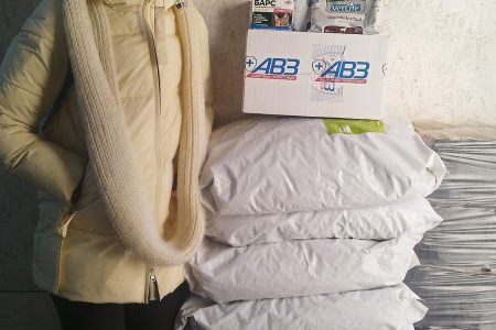 Помощь приюту “Брошенный ангел”