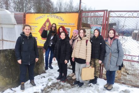 Помощь приюту для собак “Теремок”