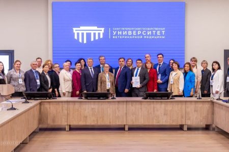 Итоги II Всероссийского конкурса педагогического мастерства