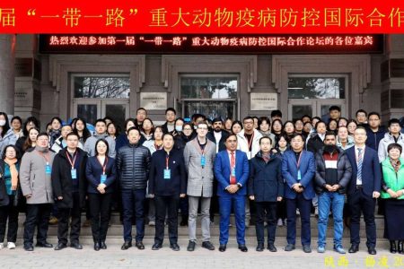 Международная конференция «Один пояс, один путь»