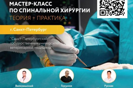 Продвинутый мастер-класс по спинальной хирургии