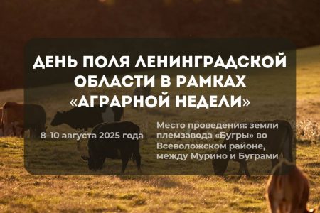 День поля Ленинградской области: аграрное событие 2025 года