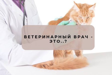 С Днём ветеринарного работника России!