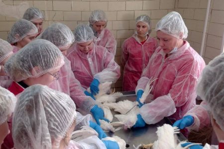 От практики к действиям!