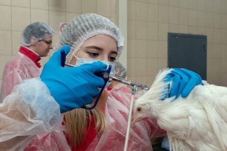 Студенты целевого направления познакомились с работой ветеринарного врача на АО «Птицефабрика Синявинская».