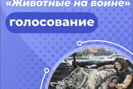 Конкурс зрительских симпатий открыт!