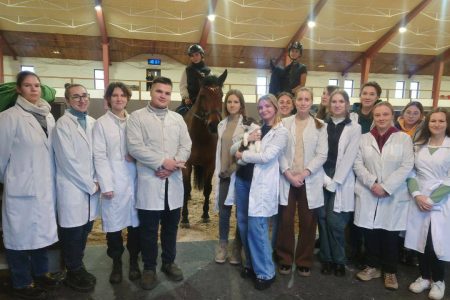 На шаг ближе к профессии: студенты посетили   конные комплексы