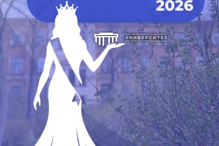 Мисс Университет — 2026