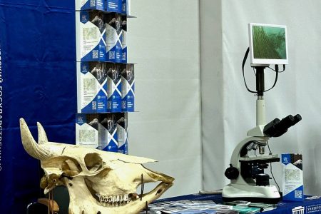 Наука, профориентация и инновации