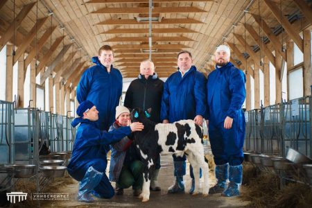 В лаборатории «СПбГУВМ» получен телёнок методом IVP с высокими генетическими показателями