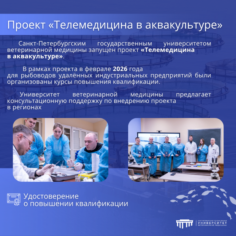 СПбГУВМ запустил проект «Телемедицина в аквакультуре»