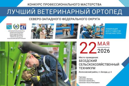 Старт приема заявок на конкурс «Лучший ветеринарный ортопед СЗФО» — 2026
