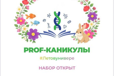 Летние каникулы с пользой! 🧬☀️🪁