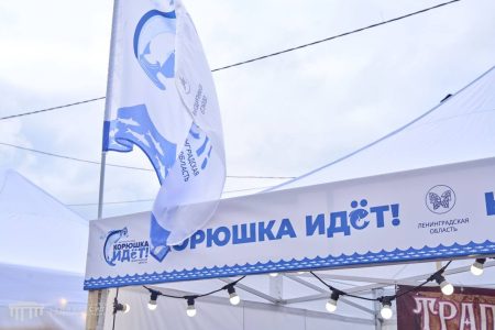 Студенты СПбГУВМ на ежегодном фестивале «Корюшка идёт»!