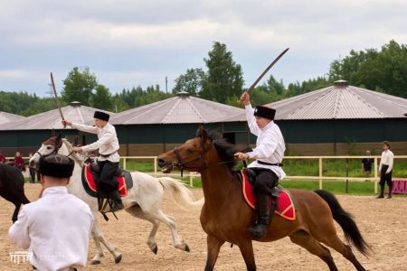 СПбГУВМ  — в сердце «КониФеста»!