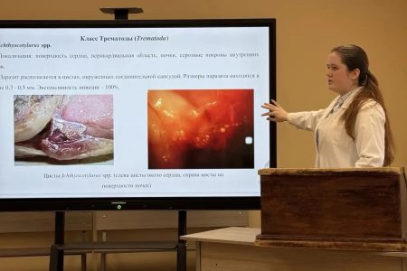 Защита ВКР на факультете водных биоресурсов и аквакультуры СПбГУВМ прошла успешно!