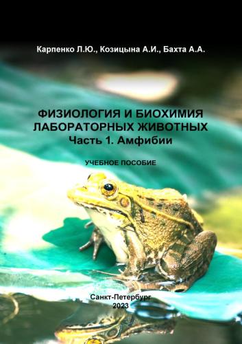 23-2-Обложка амф