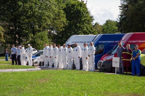 Условный очаг АЧС ликвидирован